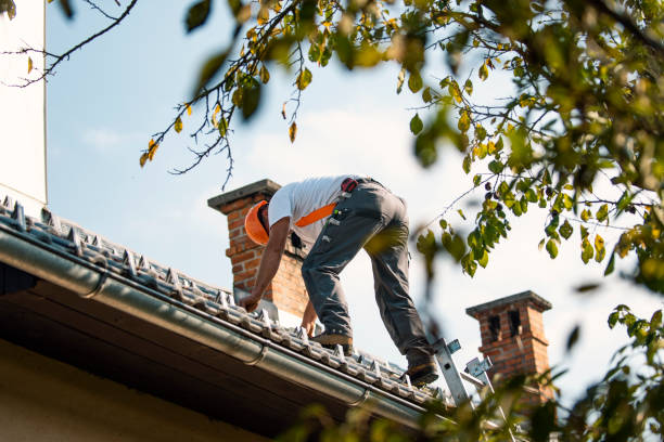 Gutter Installation and Roofing in Delft Colony, CA
